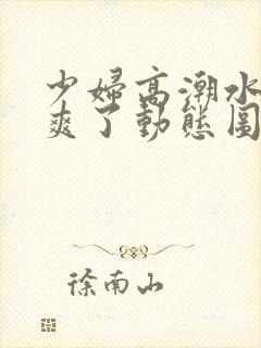 少妇高潮水多太爽了动态图