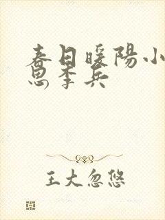 春日暖阳小说沈思李兵