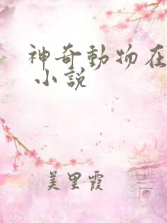 神奇动物在哪里 小说