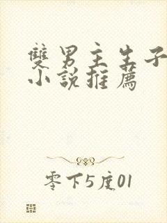 双男主生子甜文小说推荐