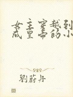 女主穿越到古代成皇帝的小说