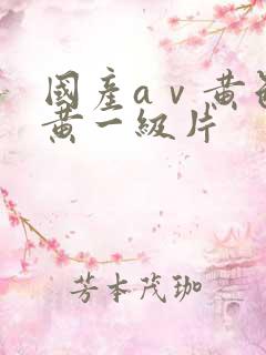 国产aⅴ黄色特黄一级片