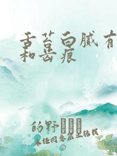 舌苔白腻有裂纹和齿痕