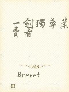 一剑独尊叶玄免费看