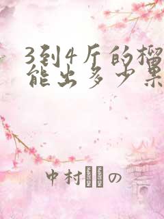 3到4斤的榴莲能出多少果肉