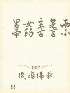 男女主是两国皇帝的古言小说