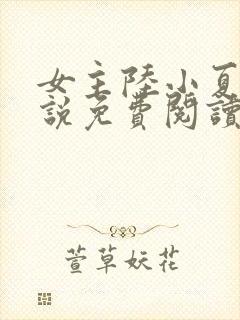 女主陆小夏的小说免费阅读