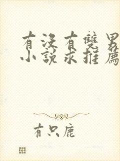 有没有双男主的小说求推荐?