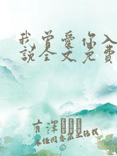 我曾爱你入骨小说全文免费阅读