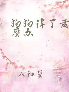 狗狗得了黄疸怎么办