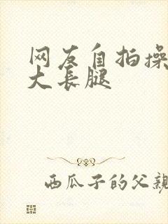 网友自拍操极品大长腿