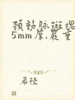 颈动脉斑块1.5mm厚,严重么