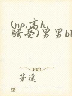 (np,高h,骚受)男男bl