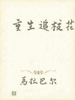 重生追校花老妈