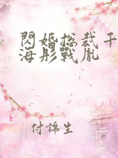 闪婚总裁千亿宠海彤战胤