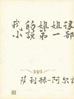 我的姐姐很弟控小说第一部