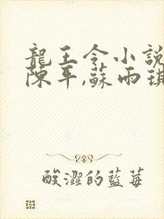 龙王令小说免费陈平,苏雨琪