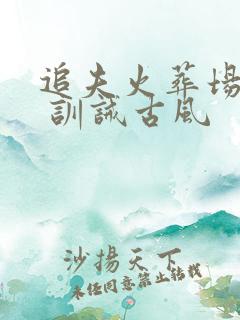 追夫火葬场sp 训诫古风