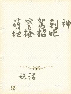 萌宝驾到神秘爹地接招吧