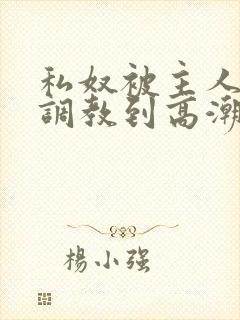 私奴被主人玩弄调教到高潮小说