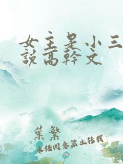 女主是小三的小说高干文