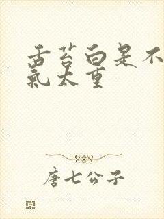 舌苔白是不是湿气太重