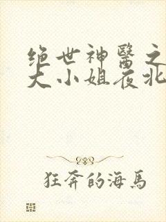 绝世神医之腹黑大小姐夜北