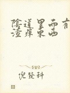 阴道里面有豆腐渣痒东西