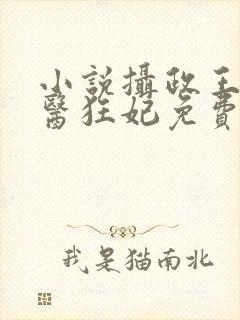 小说摄政王的神医狂妃免费阅读