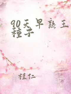 90天早熟玉米种子