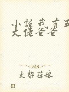 小说 我有五个大佬爸爸