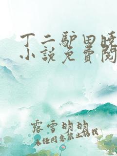 丁二驴田晓兰的小说免费阅读笔趣阁