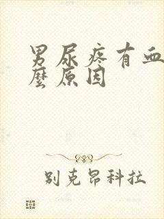 男尿疼有血是什么原因