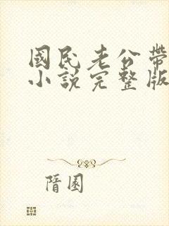 国民老公带回家小说完整版