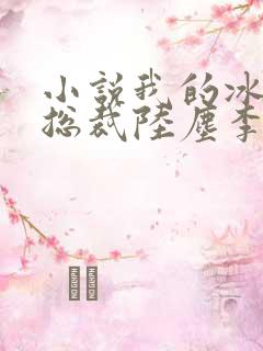 小说我的冰山女总裁陆尘李清瑶