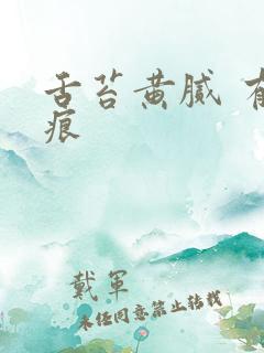 舌苔黄腻 有齿痕