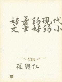 好看的现代言情文笔好的小说