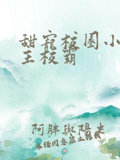 甜宠校园小说男主校霸