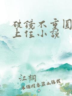 破镜不重圆男二上位小说
