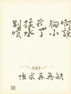 别揉我胸啊嗯～喷水了小说