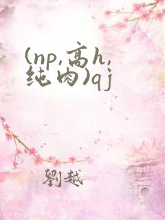 (np,高h,纯肉)qj