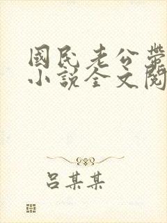 国民老公带回家小说全文阅读