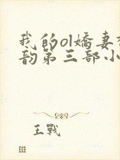 我的ol娇妻柳韵第三部小说
