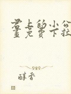 君上的小公主漫画免费下拉式六漫画