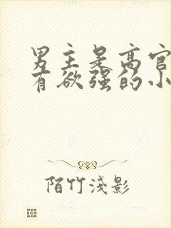 男主是高官且占有欲强的小说