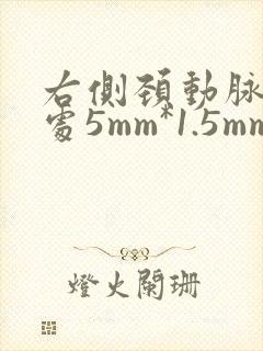 右侧颈动脉分叉处5mm*1.5mm低回声斑块