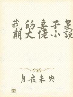 我的妻子是大乘期大佬小说完整免费