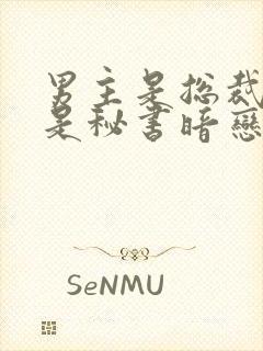 男主是总裁女主是秘书暗恋