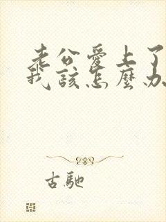 老公爱上了别人我该怎么办