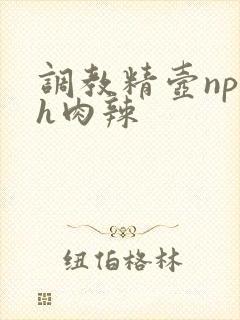 调教精壶np高h肉辣